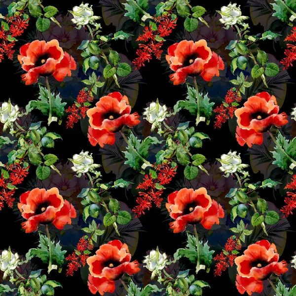 Piros pipacs virágok — Stock Fotó