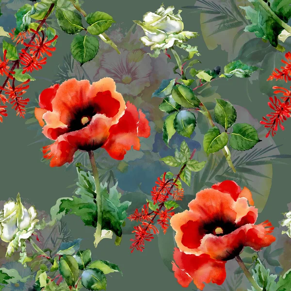 Flores de amapolas rojas — Foto de Stock
