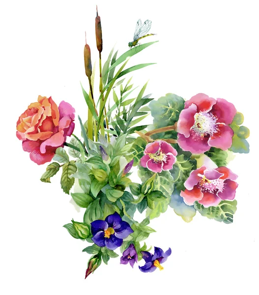 Letní zahradní květiny — Stock fotografie