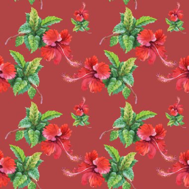 Yaz Bahçe hibiscus çiçek