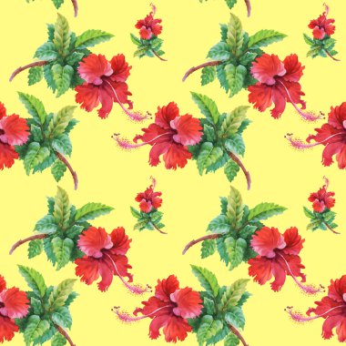 Yaz Bahçe hibiscus çiçek