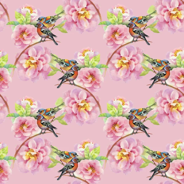 Fåglar med trädgård blommor — Stockfoto