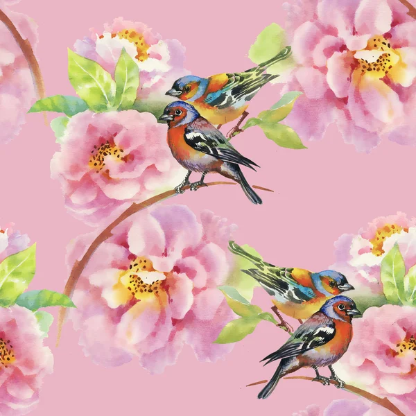 Pássaros com flores de jardim — Fotografia de Stock