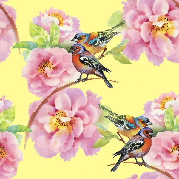 Birds with garden flowers — Stock Photo, Image