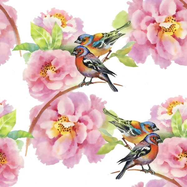 Aves con flores de jardín —  Fotos de Stock
