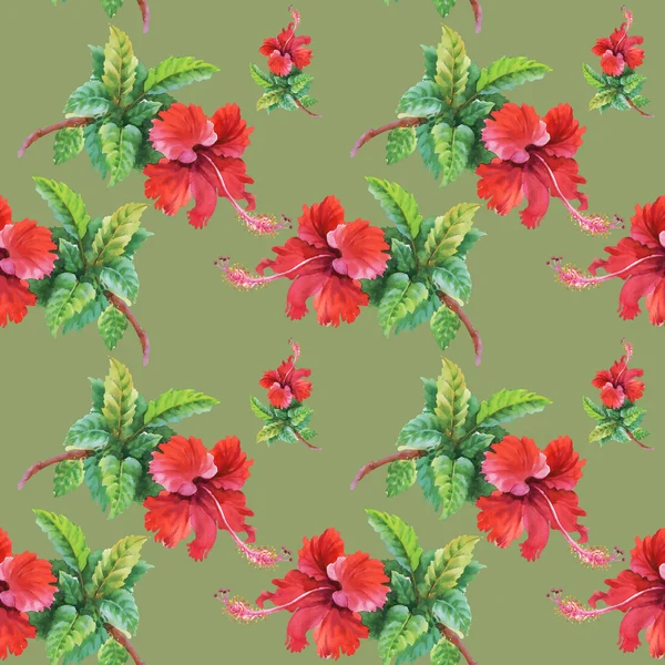 Jardín de verano flores de hibisco —  Fotos de Stock