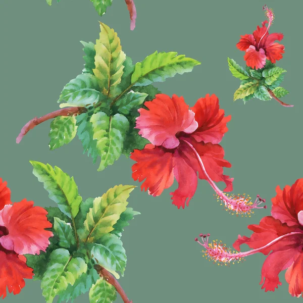 Sommar trädgård hibiscus blommor — Stockfoto