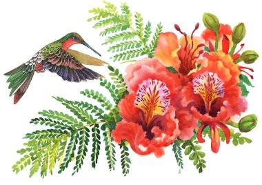 çiçeklenme suluboya ebegümeci ve uğultu-kuş