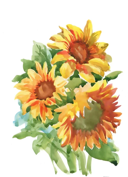 Sommergelbe Sonnenblumen — Stockfoto
