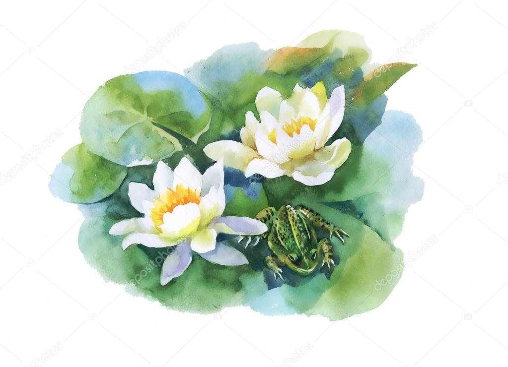 white water-lilly flowers pattern