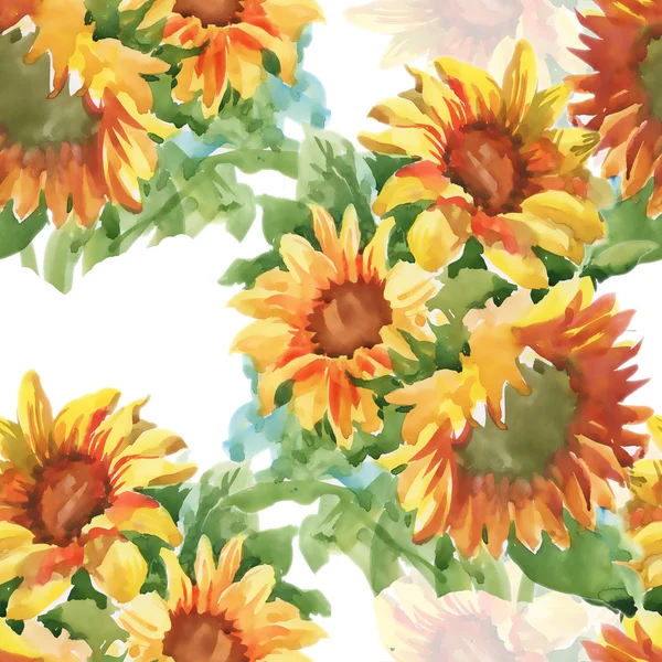 Summer yellow sunflowers — Stock Photo, Image