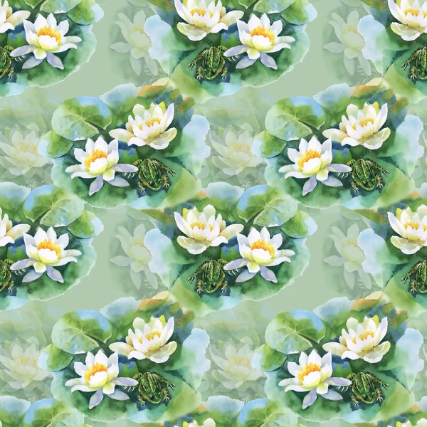 White water-lilly flowers pattern — Stock Photo, Image