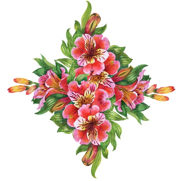 Alstromeria 꽃 패턴 — 스톡 사진