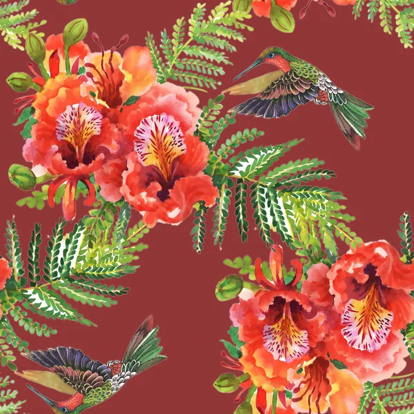 Modello di fiori e colibrì — Foto Stock