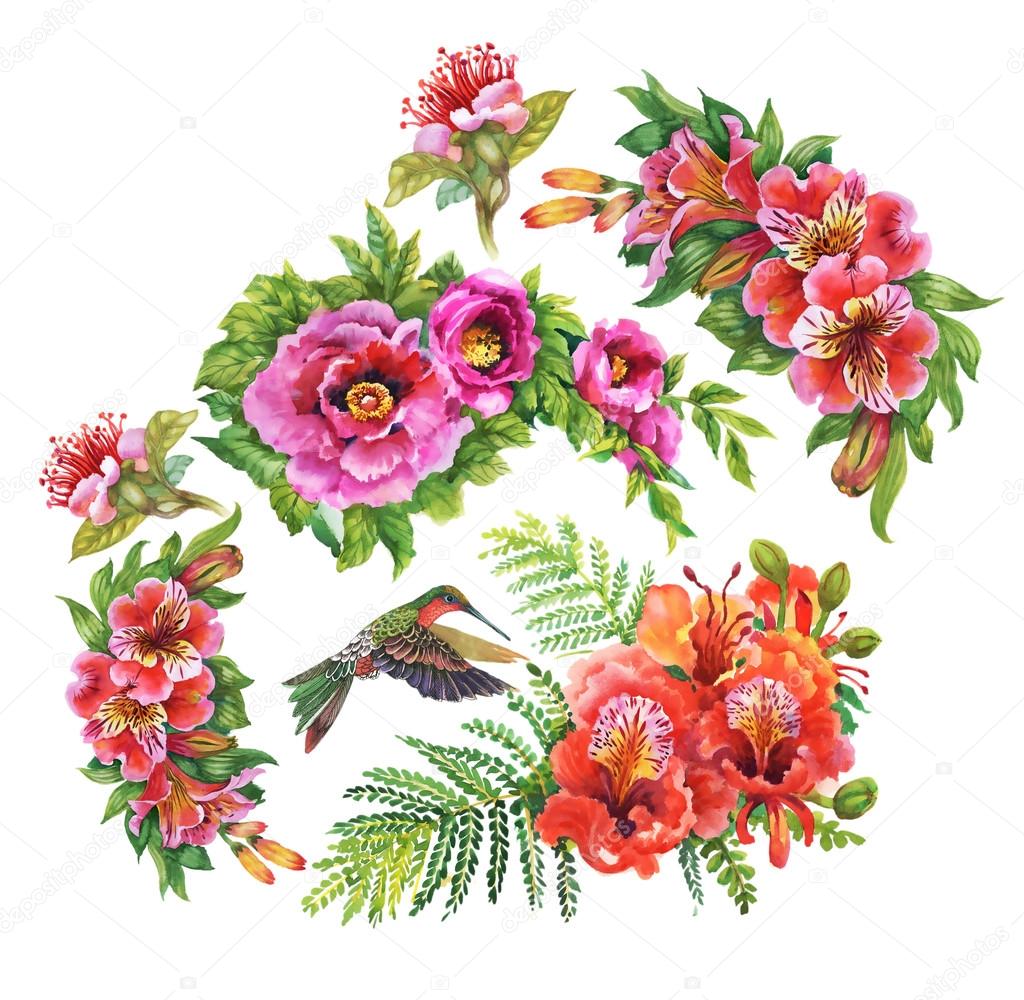 Alstroemeria flowers and humming-birds