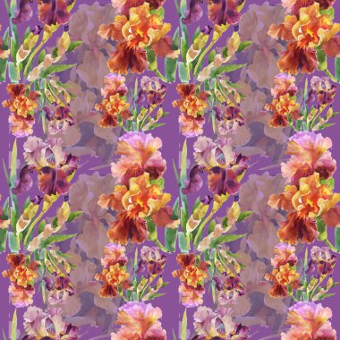Yaz Bahçe Iris çiçek