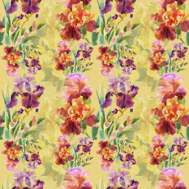 Yaz Bahçe Iris çiçek