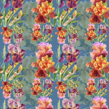 Yaz Bahçe Iris çiçek