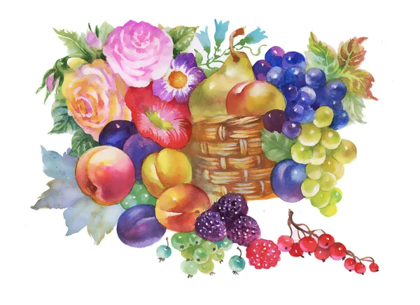 Summer ripe fruits basket — Stock Photo, Image