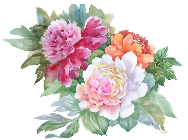 Padrão floral Peony colorido — Fotografia de Stock