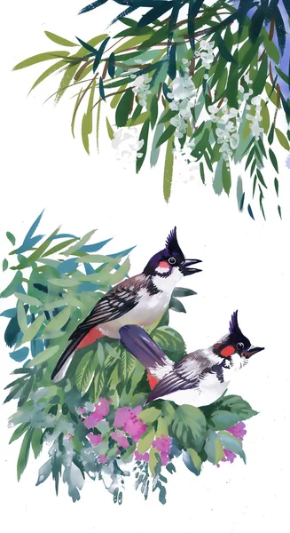 Tropische Vögel und Blumen — Stockfoto