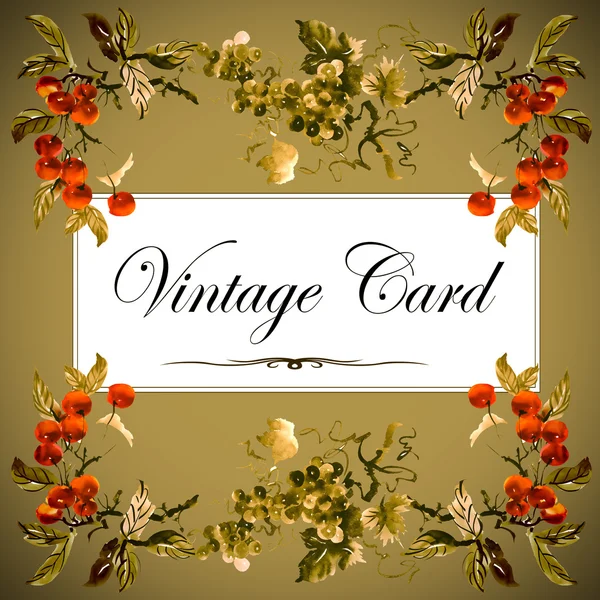 Vintage card with rowan — Stock Photo, Image