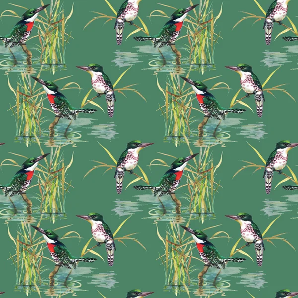 Pattern with tropical birds — Stock Photo, Image