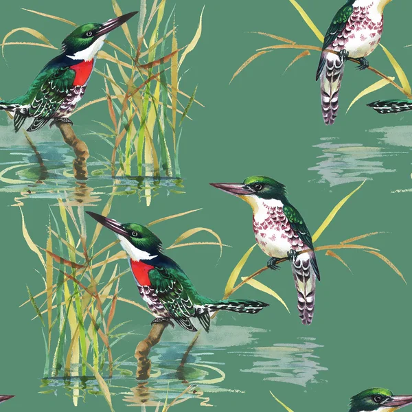 Patroon met tropische vogels — Stockfoto