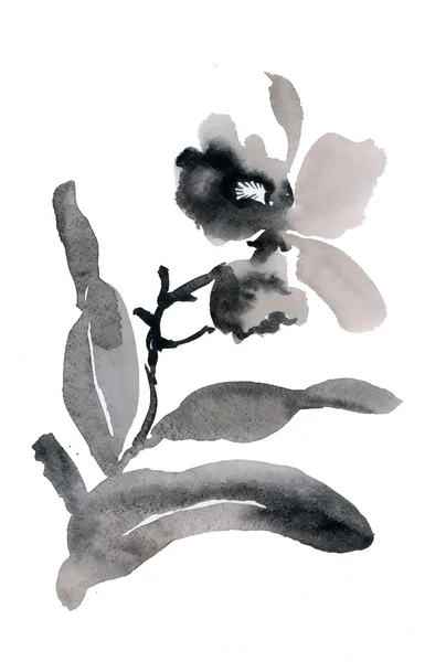 Цветочный букет орхидей — стоковое фото