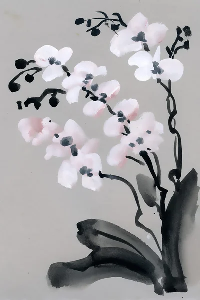 Орхідеї квітковий букет — стокове фото