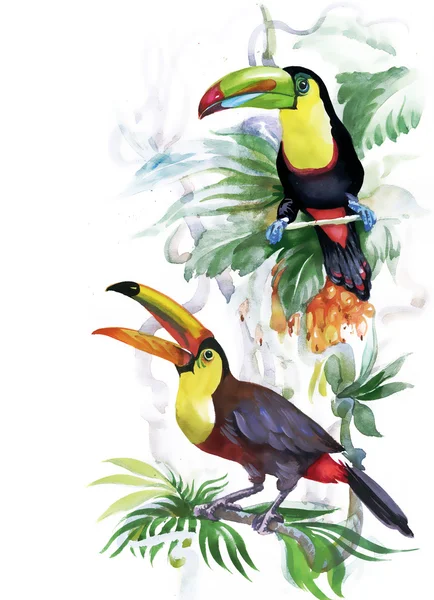 Тропические птицы на дереве — стоковое фото