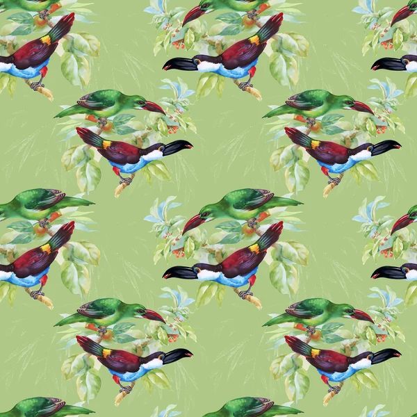 Tropical floral seamless pattern — Stock Photo, Image