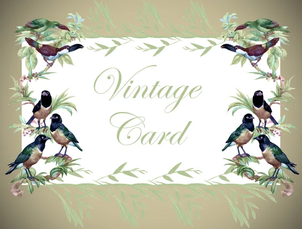 Vintage virágos kártya trópusi madarak — Stock Fotó