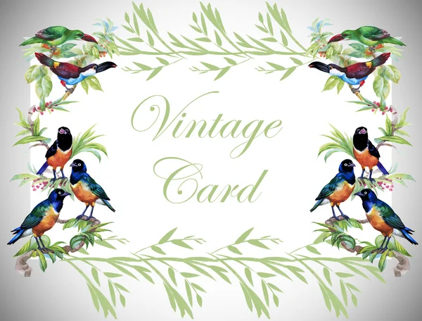 Vintage floral kaart met tropische vogels — Stockfoto