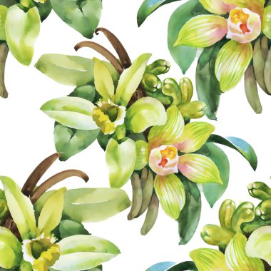 Orkide çiçekleri ile çiçek arka plan