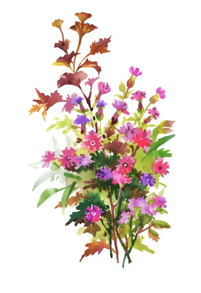 Aquarell bunte florale Illustration — Stockfoto