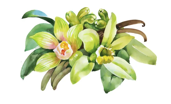 Watercolor colorful floral illustration — Stock fotografie