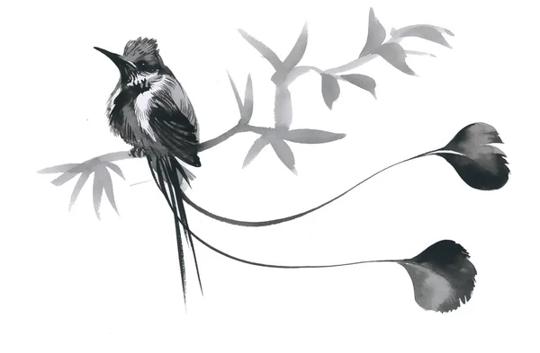 Watercolor bird on twig — Stockfoto