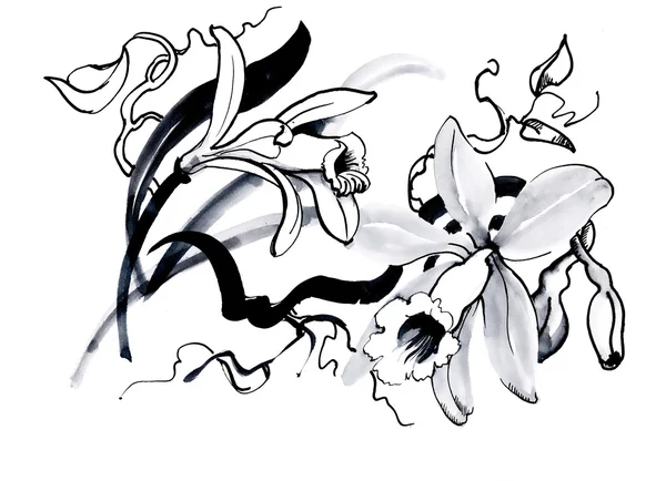 Sketch with lily flowers — Φωτογραφία Αρχείου