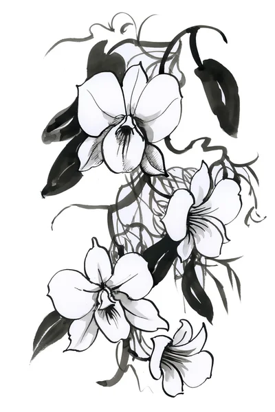 Sketch with orchid flowers — Stockfoto