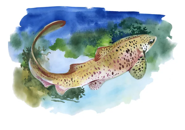 Watercolor  colorful catfish — 스톡 사진