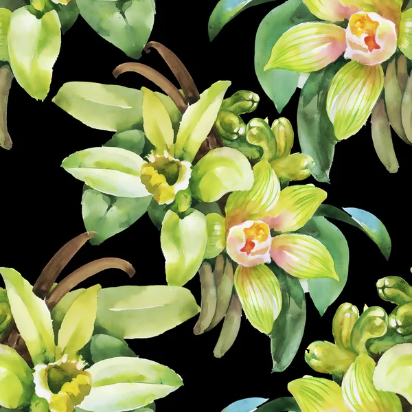 Floraler Hintergrund mit Orchideenblumen — Stockfoto