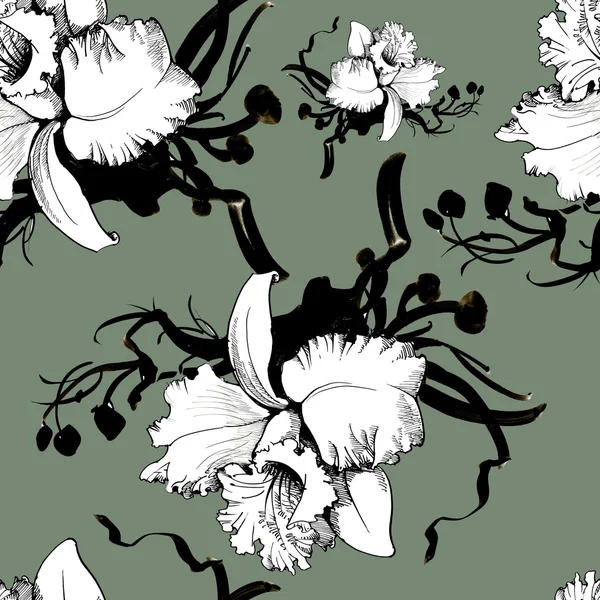 Квітковий фон з орхідеями — стокове фото