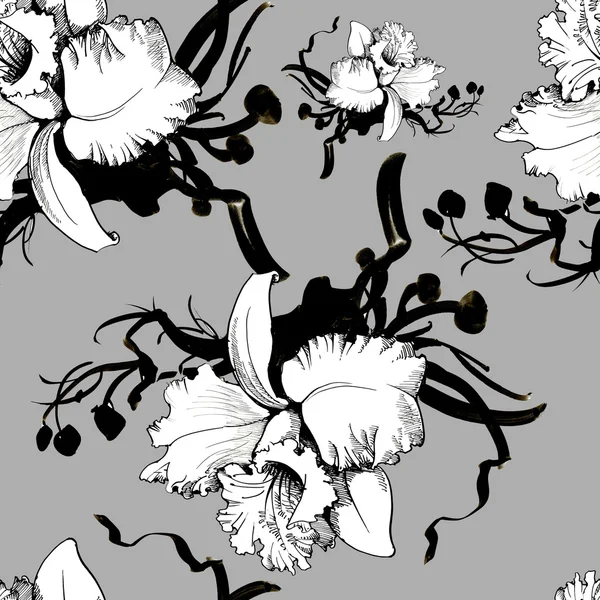 Цветочный фон с орхидеями — стоковое фото