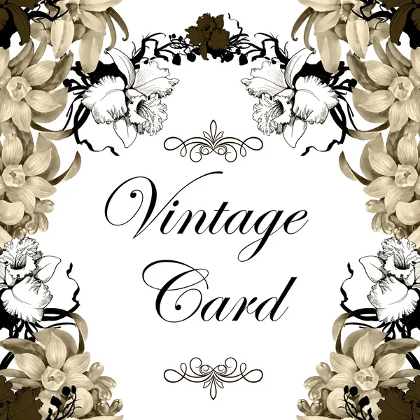 Vintage floral card — Stock Photo, Image