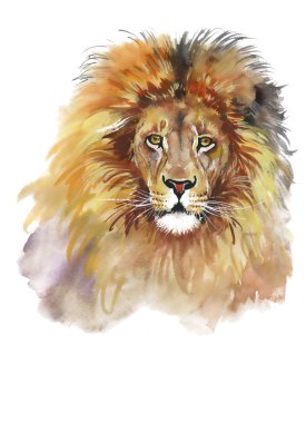 Aslan el boyalı suluboya resim