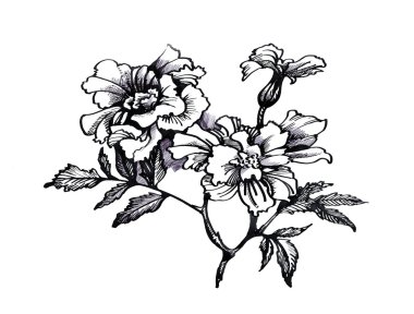 Güzel çiçek boyama