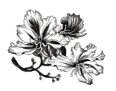 Güzel çiçek boyama