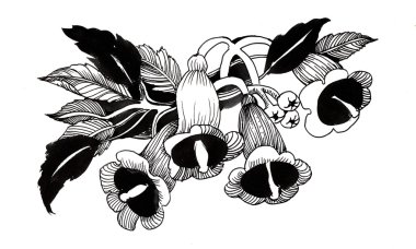 Güzel çiçek boyama