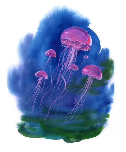 Watercolor Hand drawn jellyfish — Stock Photo, Image